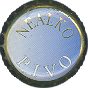 Nealko pivo