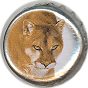Labatt wildcat